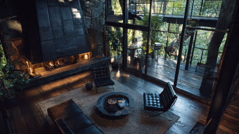 20 High-End Rustic California Modern Living Rooms (Conceptual Design Ideas)
